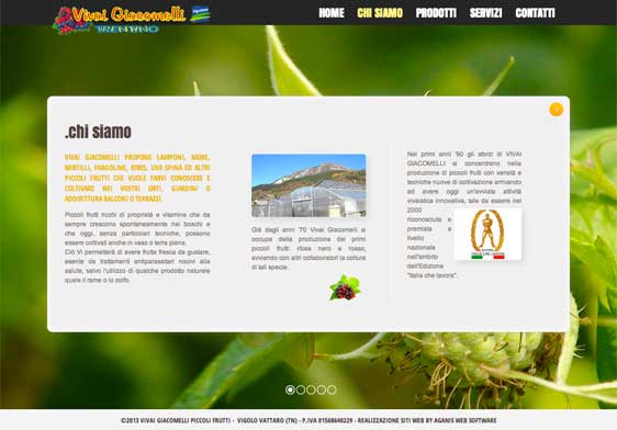 Realizzazione siti web trento - vivai-giacomelli 2