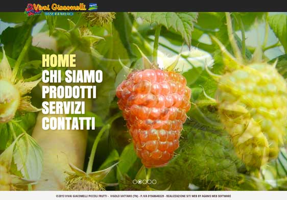 www.vivai-giacomelli.it